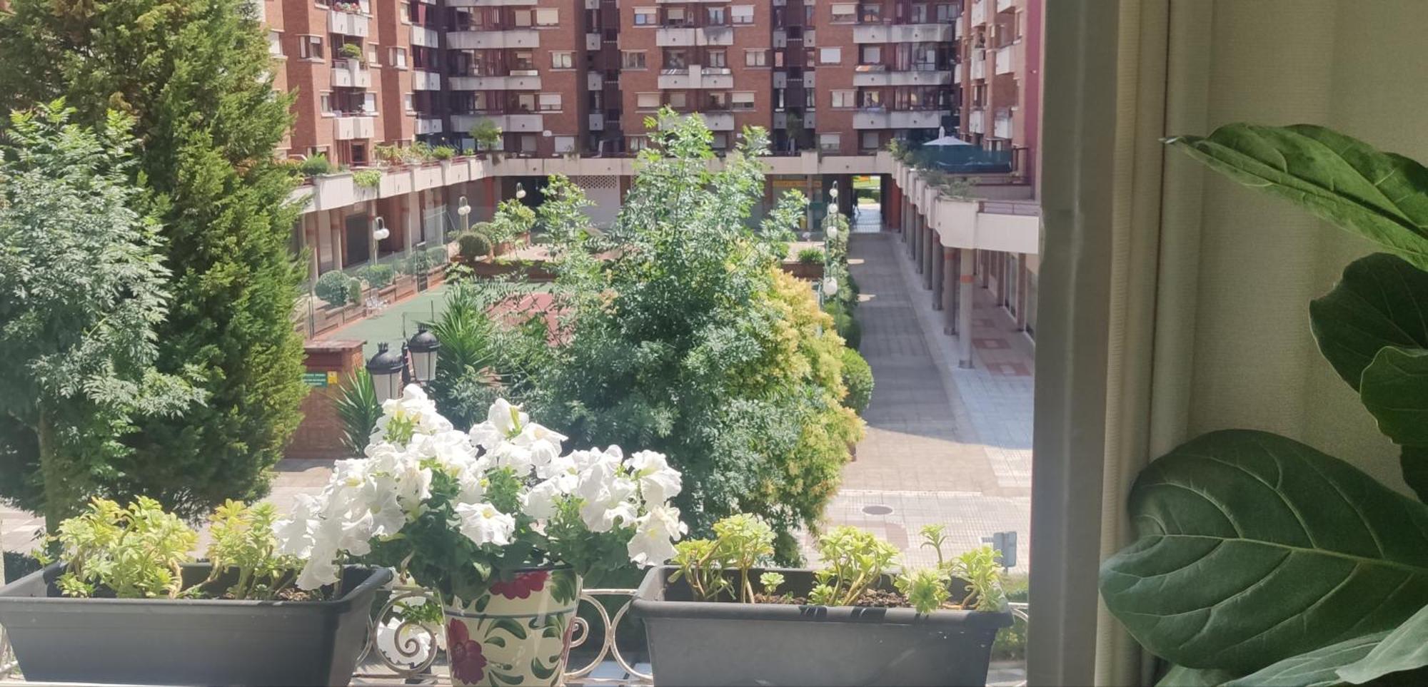Alojamiento Oviedo 3 Con Parking ภายนอก รูปภาพ